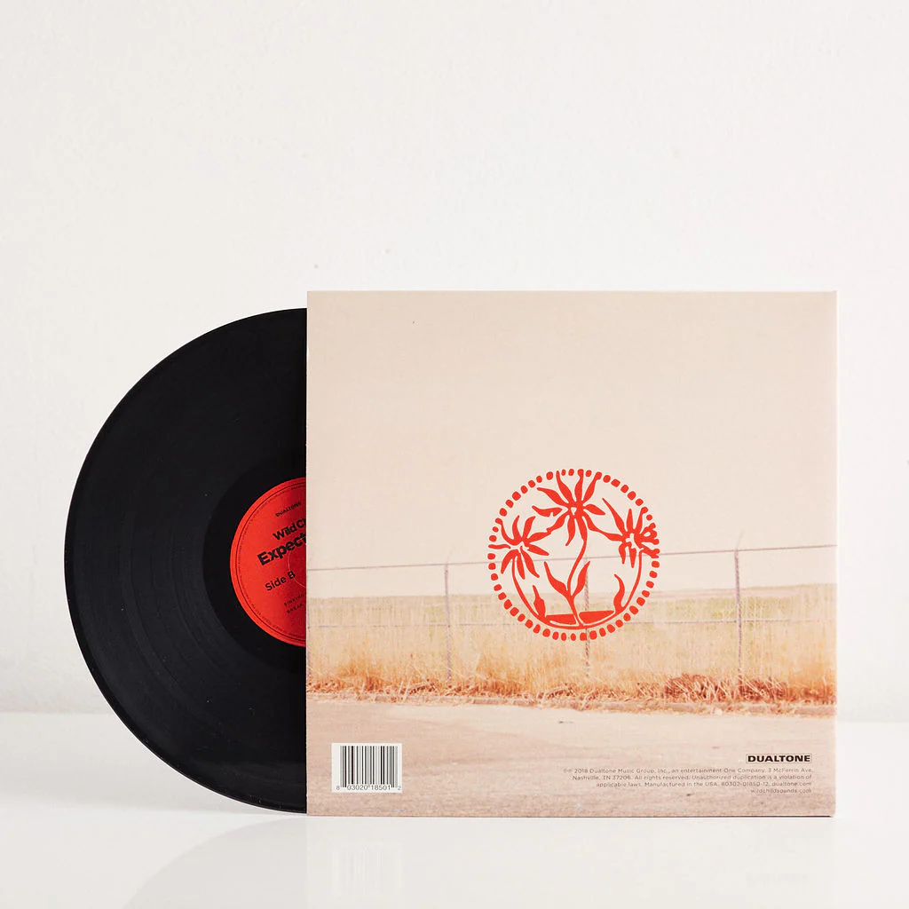 Expectations (Vinyl) - Image 4