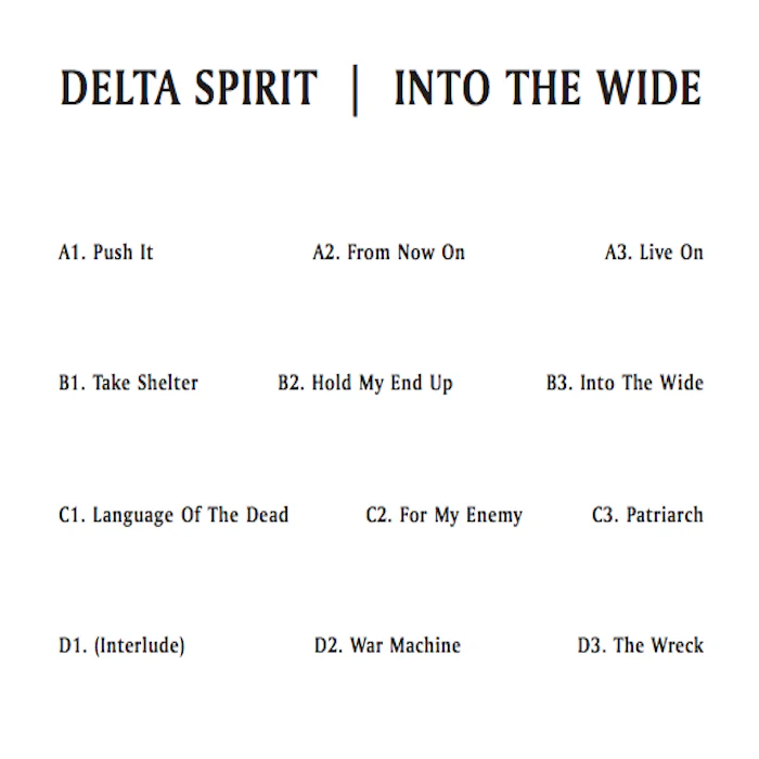 Into The Wide (Vinyl) - Image 7