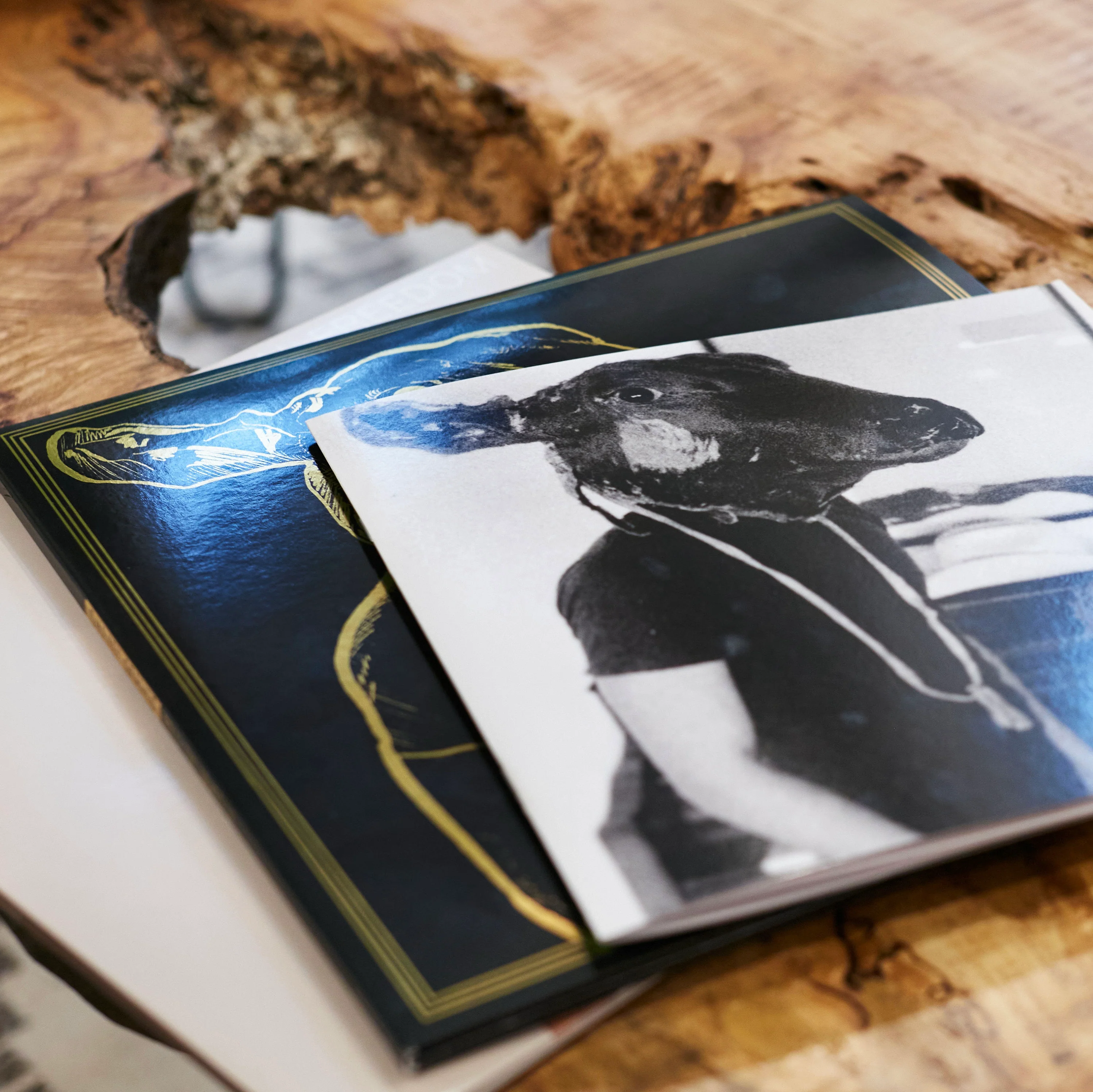 Roll The Bones X (Special Edition LP) - Image 5