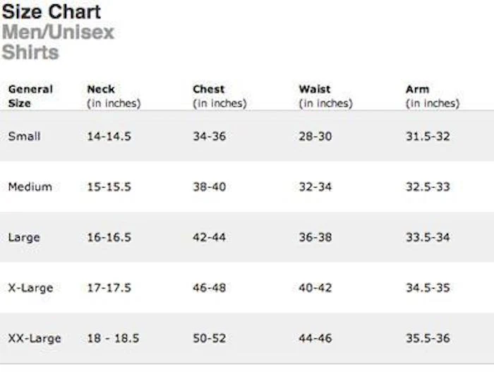 The Felice Brothers Snake/Brain (Shirt) - Image 4